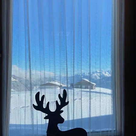 Blick Tirol Direkt Auf Der Skipiste Mittersill