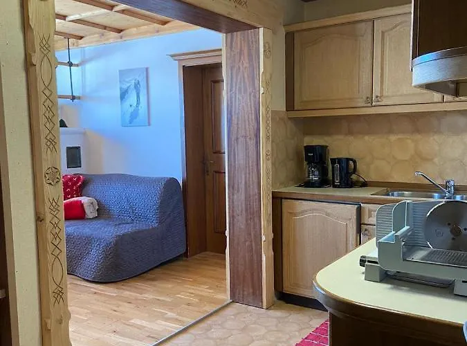 Blick Tirol Direkt Auf Der Skipiste Appartement Mittersill